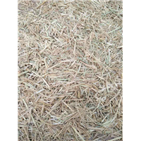 唐山青储饲料|唐山建立农业开发有限公司 