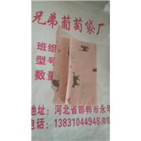 立体葡萄套袋 