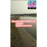 ▲▲宿迁伊乐藻厂家▲▲