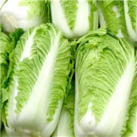 白菜 