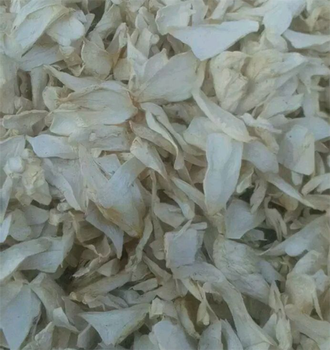 杏鲍菇干片 
