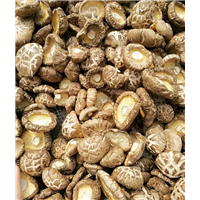鲜香菇 