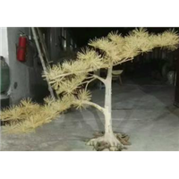 1.8米招财迎客松