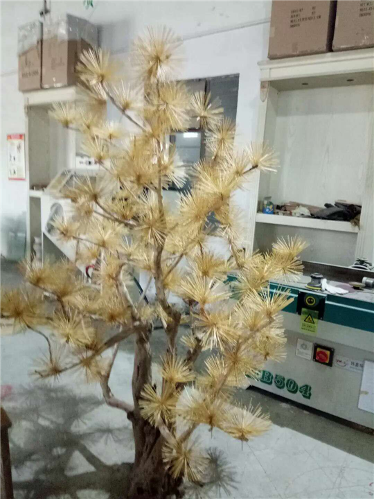 招财迎客松