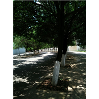 凯华林业工程有限公司 
