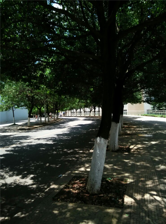 凯华林业工程有限公司 