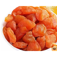 精品优质蜜饯