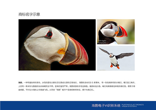郑州海鹦电子Vi设计 