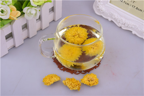 深圳菊花批发