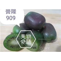 誉隆909