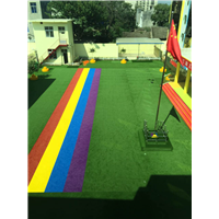 河南-郑州塑胶草坪-学校操场专用 