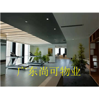 装修装饰 