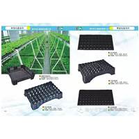 广西柳州育苗托盘厂家批发 