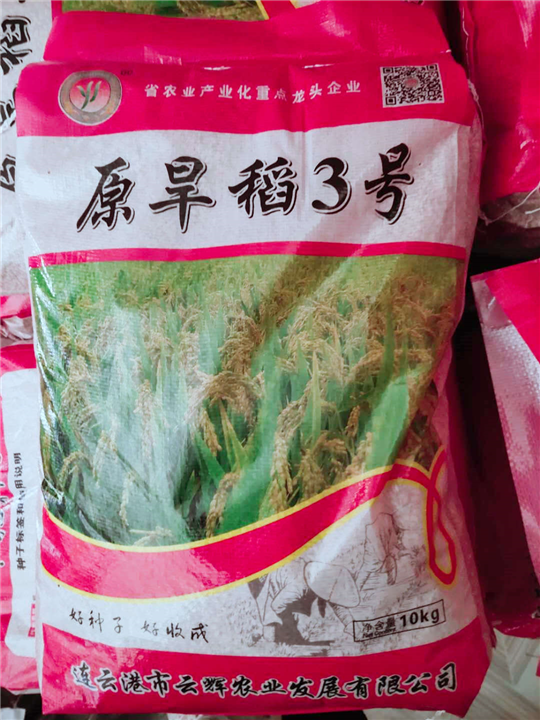 河北原旱稻3号供应商