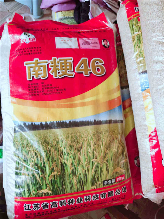 河北南粳46供应商 