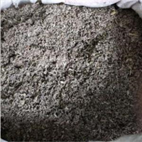 江苏艾草种子基地