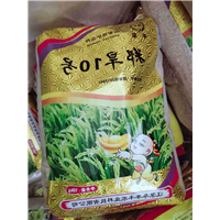 湖南郑旱10号卖家