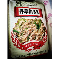 河北丹旱稻53哪家好