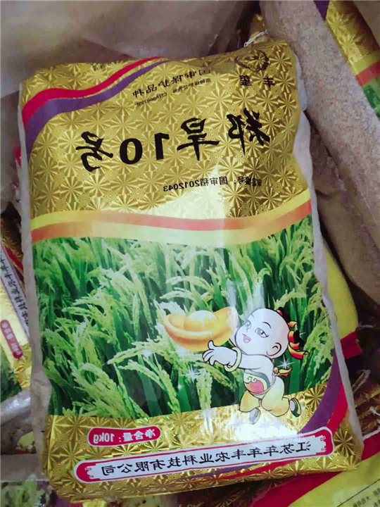 湖南郑旱10号卖家 