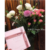 YUNZ,YUNZ瘦身 ,YUNZ减肥药 