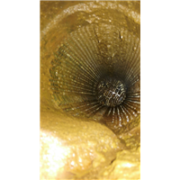 乌鲁木齐板式换热器清洗方案_免费试清洗 