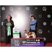 江苏青苹果犬舍直销进口查理王