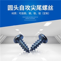 深圳自攻螺丝厂家批发