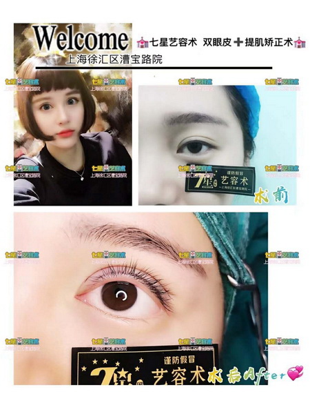 上海七星艺容术好不好
