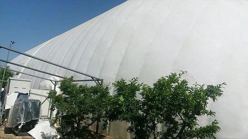 阿克苏张拉膜充气膜环保仓储应用 