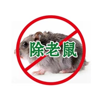 安溪灭鼠公司