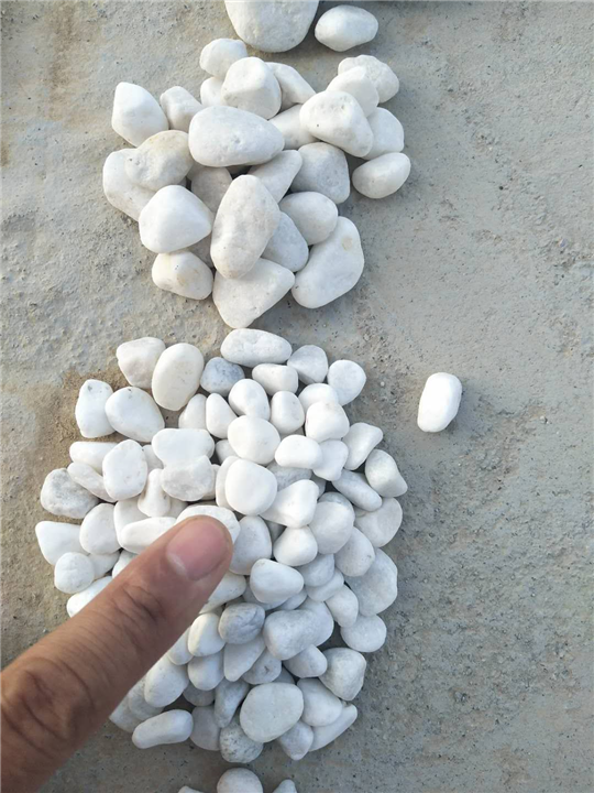 机制白色鹅卵石生产加工