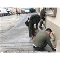 湖州灭鼠