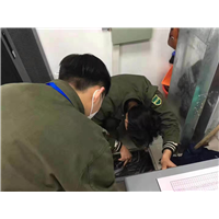 湖州灭鼠