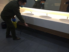 湖州灭白蚁