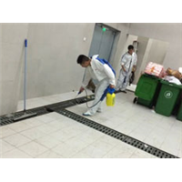 湖州灭鼠