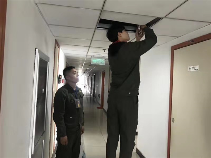 湖州灭鼠