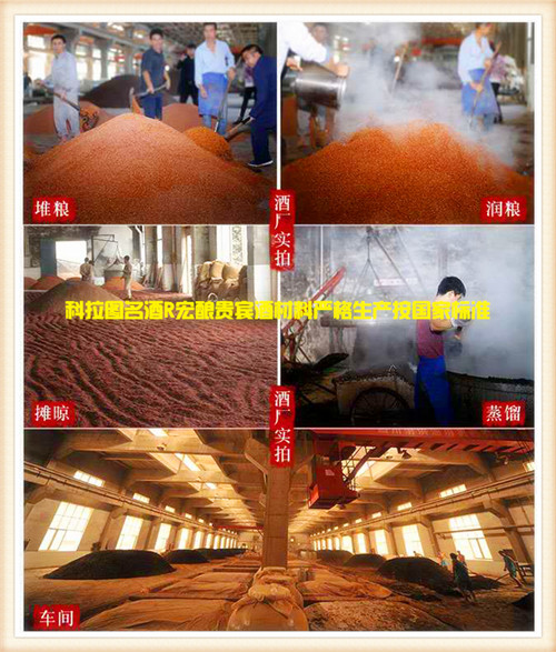 白酒哪个牌子好 