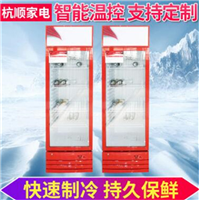 河北展示冰柜售价
