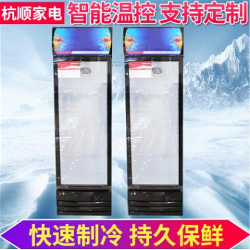 安徽展示冰柜供应