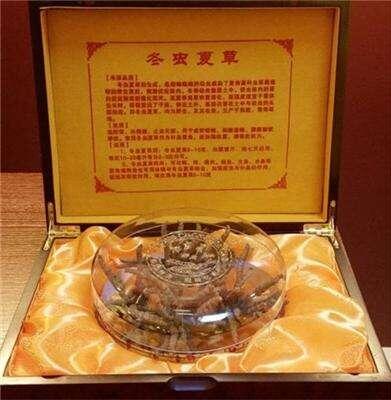 南京冬虫夏草回收 