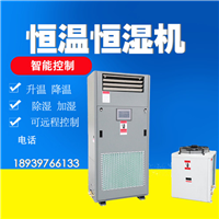 浙江吊顶恒温恒湿机