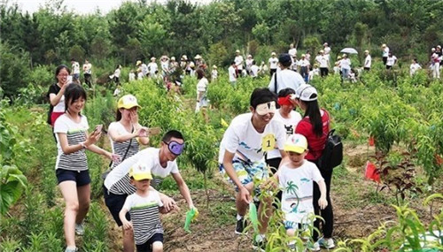 安徽野鸡湾生态园