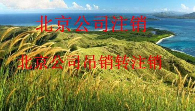 北京分公司注销_公司注销流程详细步骤 