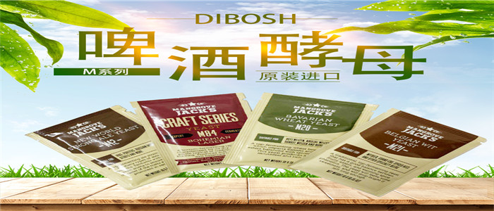 山东啤酒酵母厂家直销
