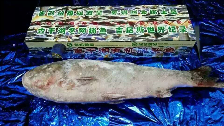 哈尔滨友谊透笼农贸超市宋春峰活鱼摊床 