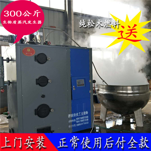湖北生物质蒸汽发生器价格 