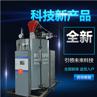 燃液化气蒸汽发生器价格