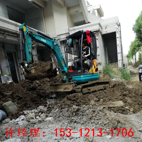 苏州小挖机园林绿化施工 