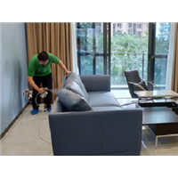 治理甲醛价格 