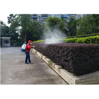 除四害价格 